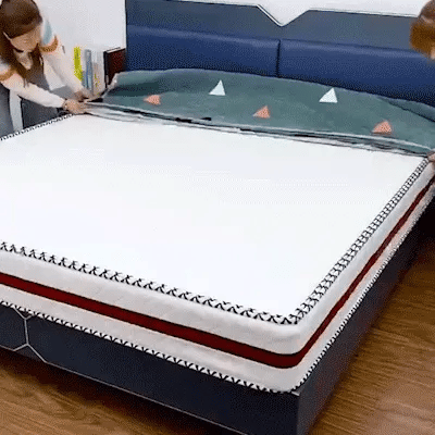 Soft Cotton Double Bedsheet Set with 2 Pillow Covers