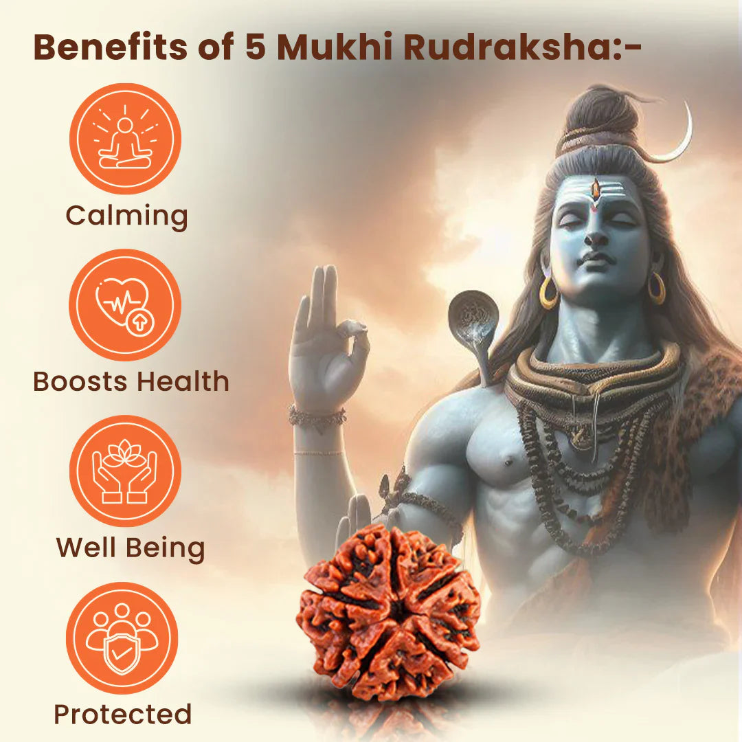 Panchmukhi Energy Gold-Plated Rudraksha Bracelet - @Just Rs. 299/-